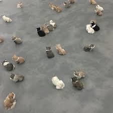 Pin De S Incognita Em Babies Memes Engracados De Gato Bicho De Estimacao Coisas De Gato