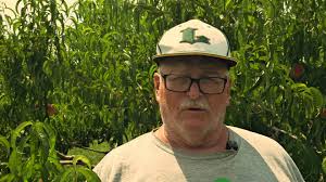 Fresh baked apple dumplings😊