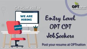 Entry Level Opt Cpt Jobs Job Portal Job Posting Entry Level