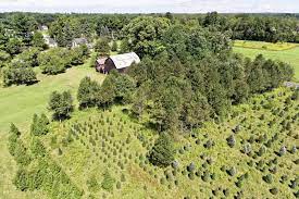 Private entrance home office and two nice barns. 8 Christmas Tree Farm Homes For Sale Life At Home Trulia Blog