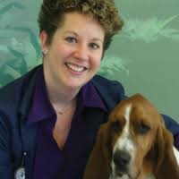 Companion Animal Hospital