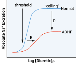 Image result for Loop Diuretic