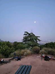 Instagram 用户 Trevor Downs