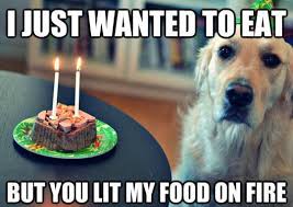 Birthday Cake On Fire Meme Pin On Animal Pictures