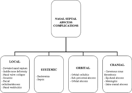 Acute nasal vestibulitis and chronic nasal vestibulitis.in the case of acute onset, the. Nasal Septal Abscess In Children From Diagnosis To Management And Prevention Sciencedirect