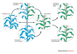 Reviewing the living environment : Transgene Introgression From Genetically Modified Crops To Their Wild Relatives Nature Reviews Genetics