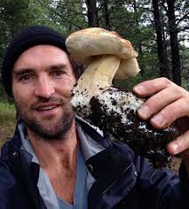 Collecting whole mushroom specimens for identification
