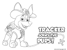 You can read these facts while you accompany them in a coloring activity. Paw Patrol Coloring Pages Tracker Novocom Top