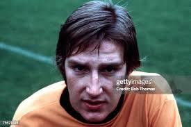 590 Steve Daley Photos & High Res Pictures