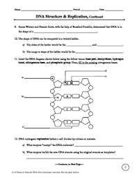 A phosphate group, a five carbon sugar and a nitrogen containing base label these three parts on the diagram to the right: Dna Structure And Replication Worksheet By A Thom Ic Science Tpt