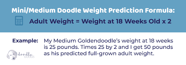 We used this value in our puppy calculator because, on average, dogs mature into adults within 12 months. Puppy Growth Chart For Doodles And Interactive Calculator