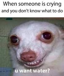 Relatable Memes For People Who Just Need To Feel Heard Funny Instagram Memes Funny Memes Tumblr Super Funny Memes