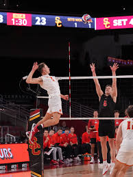 Image result for Kleinia garciana