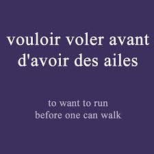 Frederic From Talk In French On Instagram French Expression Of The Day Vouloir Voler Avant D Avoir Des A French Expressions Learn French How To Speak French