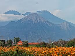 Gunung Arjuno Welirang - Tahura Raden Soerjo