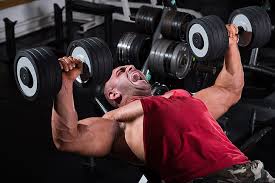 Lifestyle, training, bodybuilding, bodybuilder, muscle mass, HD wallpaper |  Wallpaperbetter