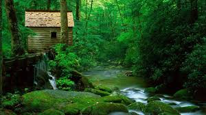 nature natural scenery greenery wallpaper hd wallpaper 1366x768 chainimage nature natural scenery greenery