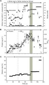 Frontiers Cultivation And Transcriptional Analysis Of A
