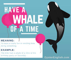 Bachelorette (/ˌbætʃələˈrɛt/) is a term used in american english for a single, unmarried woman. Idiom A Whale Of A Time Meaning Examples