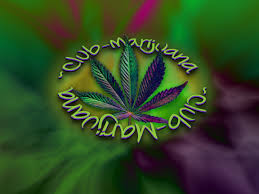We would like to show you a description here but the site won't allow us. Free Download Wallpapers Weed Girl 1920x1200 134455 Weed Funny Images 1152x864 For Your Desktop Mobile Tablet Explore 50 Awesome Pot Leaf Wallpaper Cool Marijuana Wallpapers Moving Weed Wallpaper Free