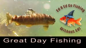 Image result for Another great day,