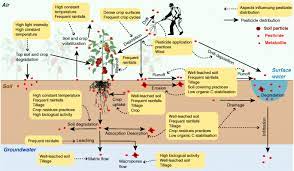 The structural pest control pesticide safety manual focuses on information specific to structural pest control. Challenges And Ways Forward In Pesticide Emission And Toxicity Characterization Modeling For Tropical Conditions Springerlink
