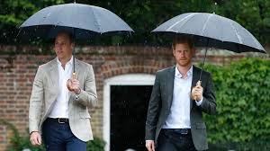 Média již v minulosti spekulovala o tom, že princ william a princ harry mají mezi sebou velmi napjaté vztahy. 1fzam1xmolv5hm