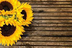 Maybe you would like to learn more about one of these? Rustic Sunflower Wallpapers Top Free Rustic Sunflower Backgrounds Wallpaperaccess
