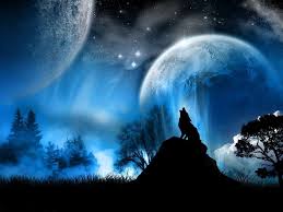 Image result for cool wolf art