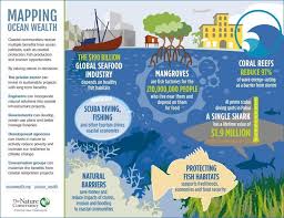 Resultado de imagen de Tree protection agencies