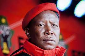 Julius malema was the leader of the anc's youth wing until last. Malema Praises Zim S Efficient Vaccination Programme Blasts Ramaphosa Newzimbabwe Com