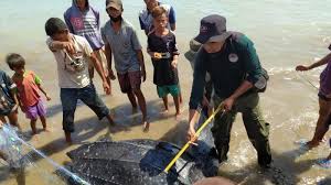 We did not find results for: Https Kupang Tribunnews Com 2021 03 07 Video Wali Kota Solo Gibran Rakabuming Raka Pidato Berbahasa Inggris Di Depan Menteri Uea Https Cdn 2 Tstatic Net Kupang Foto Bank Images Gibran Rakabuming Groundbreaking Masjid Di Solo 011 Jpg Wali Kota