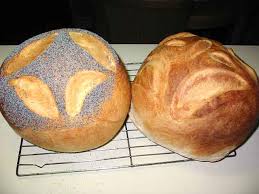 Billowy Sourdough Loaves Sourdough Sourdough Bread Loaf