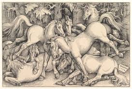The Wild Horse