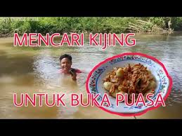 Tingkat salinitas atau keasinan mereka kurang dari 0,05%. Cara Memasak Kijing Kerang Air Tawar Resep Bunda Irma Youtube