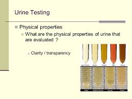 Body Fluid Analysis Urine Mini Review For Ua Course Final