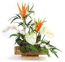 We carry a vast selection of fresh flowers, green and blooming plants, dried and silk arrangements, balloons, gifts & plush animals as well as fruit & gourmet baskets, something. Maui Dried Flowers Silk Arrangements