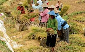 Pengertian Faktor Produksi Adalah Jenis Fungsi Dan Contoh
