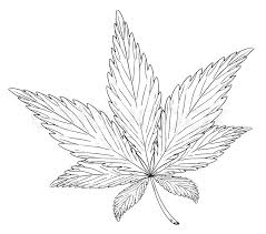 We did not find results for: Illustration Of The Leaf Of Cannabis Stock Vector Colourbox