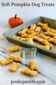 Homemade best low calorie dog treats. Soft Pumpkin Dog Treats Pook S Pantry Recipe Blog