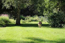 Du wünschst dir einen großen eingezäunten garten für dich und deinen. Urlaub Mit Hund Ferienhaus Eingezaunt Alleinlage