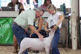 WACO Ag Ed and FFA added a new photo.