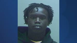 Criminal history of Aaron Lowe's accused murderer