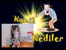 Komik Pano Icin 54 Fikir 2020 Komik Komik Kediler Komik Hayvanlar