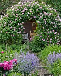„the garden is a mirror of the heart. Romantischer Rosengarten Mit Einer Bluhenden Kletterrose Constance Spry Am Rosenbogen Garten Garten Gestalten Gartengestaltung Ideen