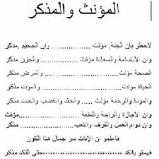 محمد العاثم En Twitter من يقول ان اللغة العربية ظلمت المرأة بل وقفت بصفها ففي التأنيث رقة و لين بينما الشدة و القسوة للرجال التأنيث Http T Co 1qebeix1mz