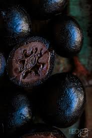 Schwarze Nusse Frankischer Truffel Foodundco De Foodblog Aus Nurnberg Rezept Nusse Truffel Kandierte Walnusse