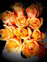 Maybe you would like to learn more about one of these? Happy Birthday Flowers 34 Happy Birthday Flower Flowers Birthday Flowers