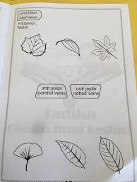 Subjek Sains Mengenal Jenis Tadika Genius Ilmu Bestari Facebook