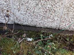 How to polish a concrete garage floor. Rain Water Coming Through Sectional Garage Diynot Forums